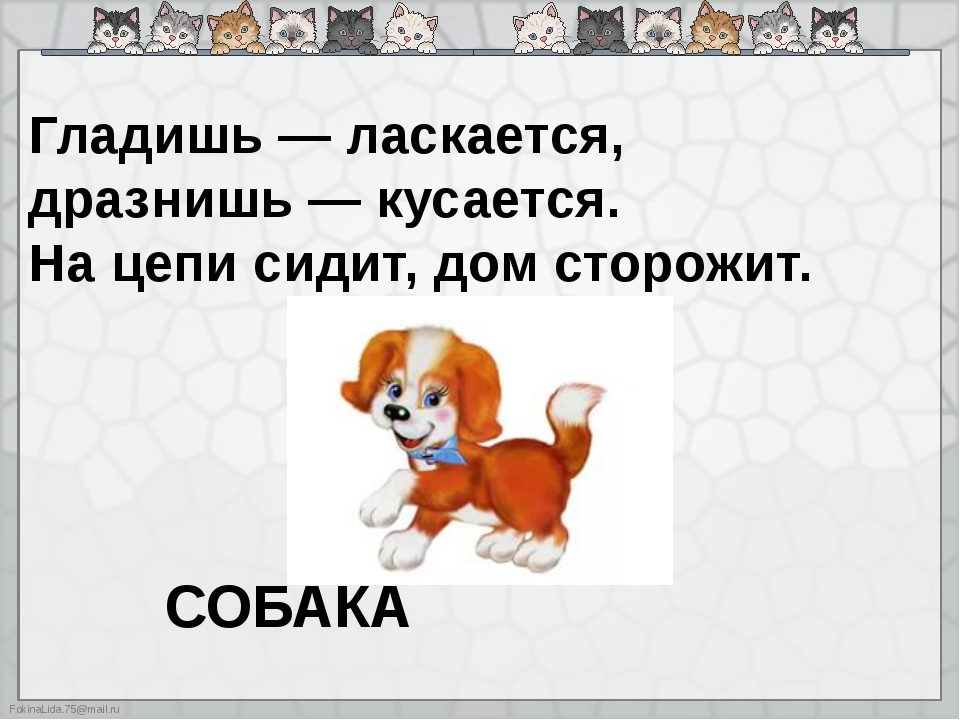 Гладишь кусается дразнишь кусается ответ: "гладишь — ласкается, дразнишь — кусается" (загадка), 6 букв, сканворд