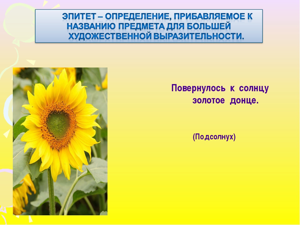 Подсолнух загадки для детей: Загадки про подсолнух для детей с ответами