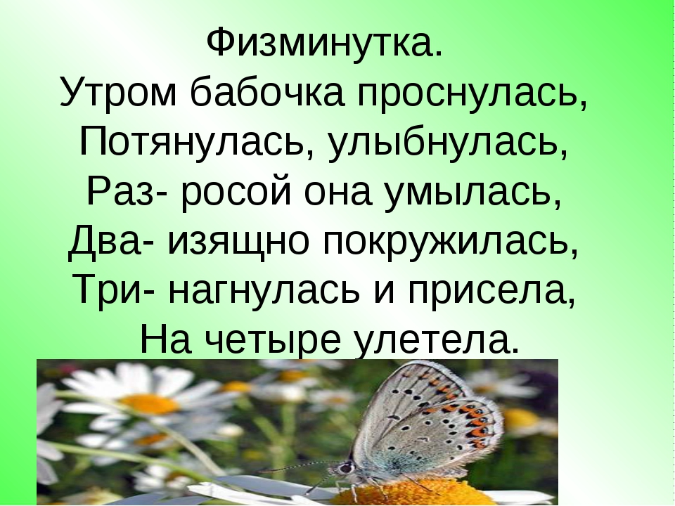 Загадка про бабочку: Загадки про бабочку с ответами