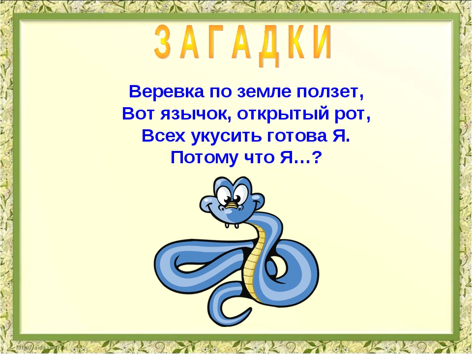 Загадка про удава для детей: Детям загадки про животных: Змея