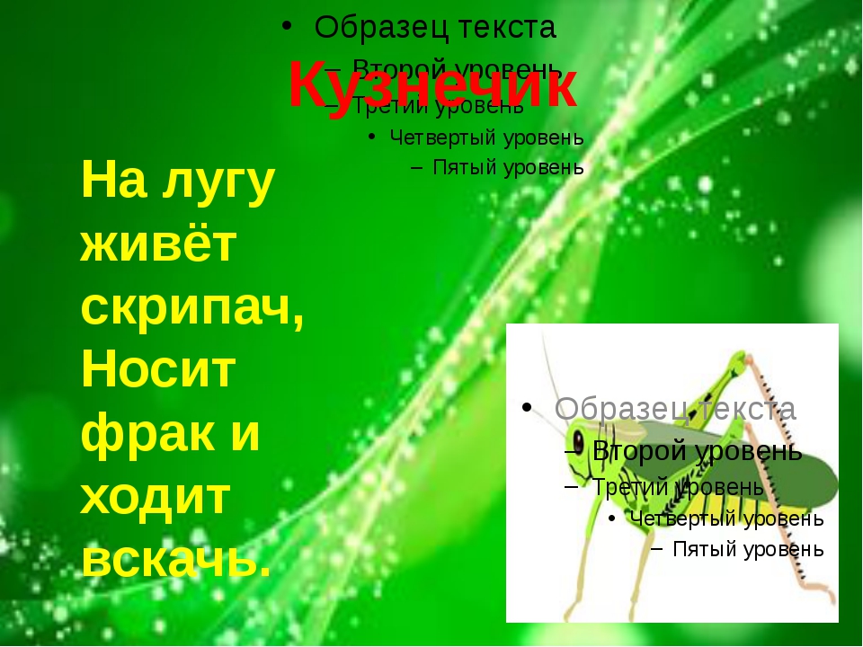 На лугу живет скрипач носит фрак и ходит: «на лугу живет скрипач, носит фрак и ходит вскачь» (загадка), 8 букв, 2-я буква У, сканворд