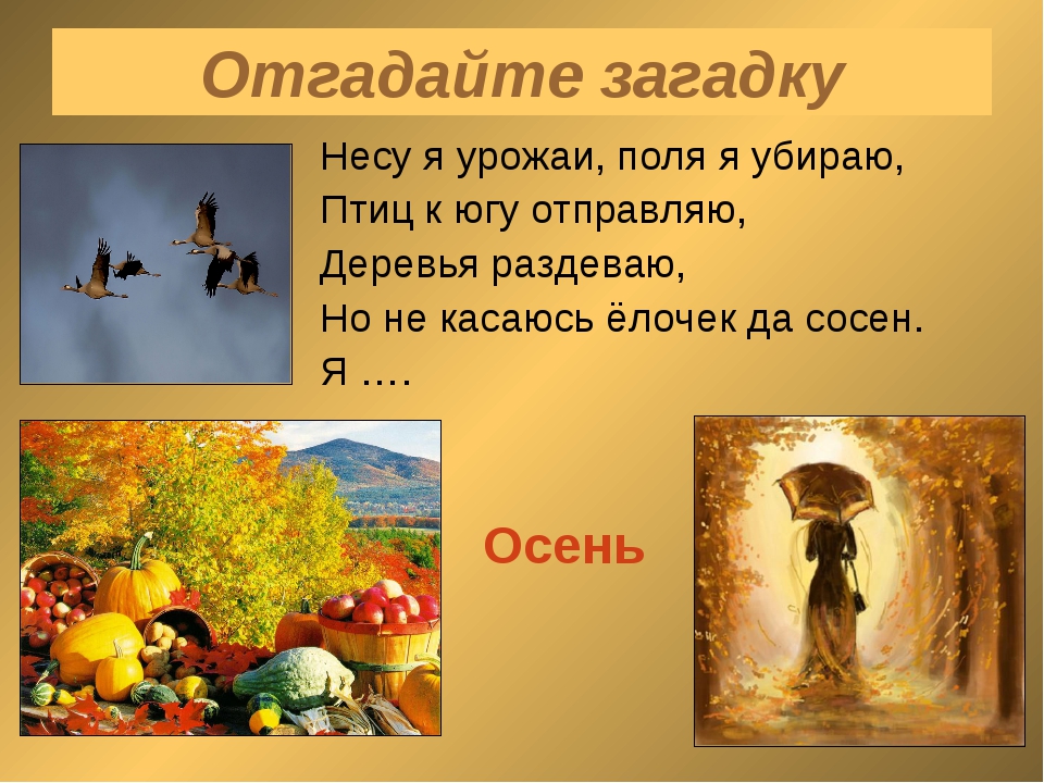 Загадки про осень для школьников 3: Страница не найдена - Академия "Мульти Мама"