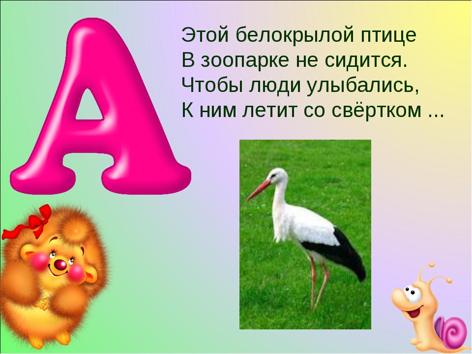 Загадки о растениях на все буквы алфавита: Детские загадки на все буквы алфавита