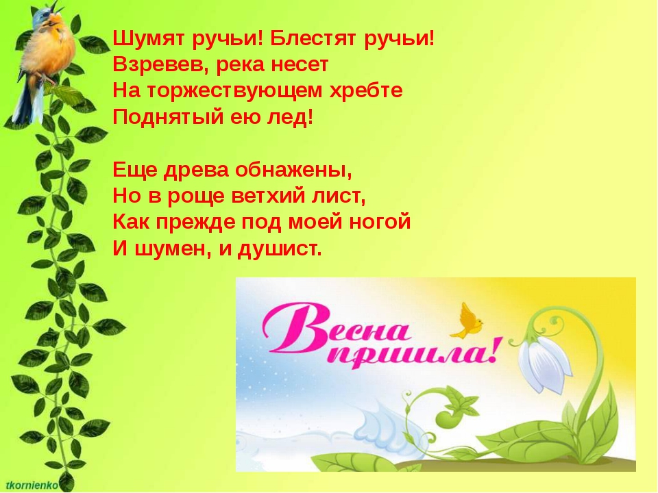 Загадки про времена года для школьников 2 класса с ответами: Загадки про времена года с ответами для детей