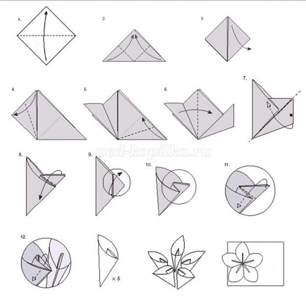 Оригами из бумаги для начинающих поэтапно цветы: Цветы из бумаги своими руками - больше 70 вариантов
