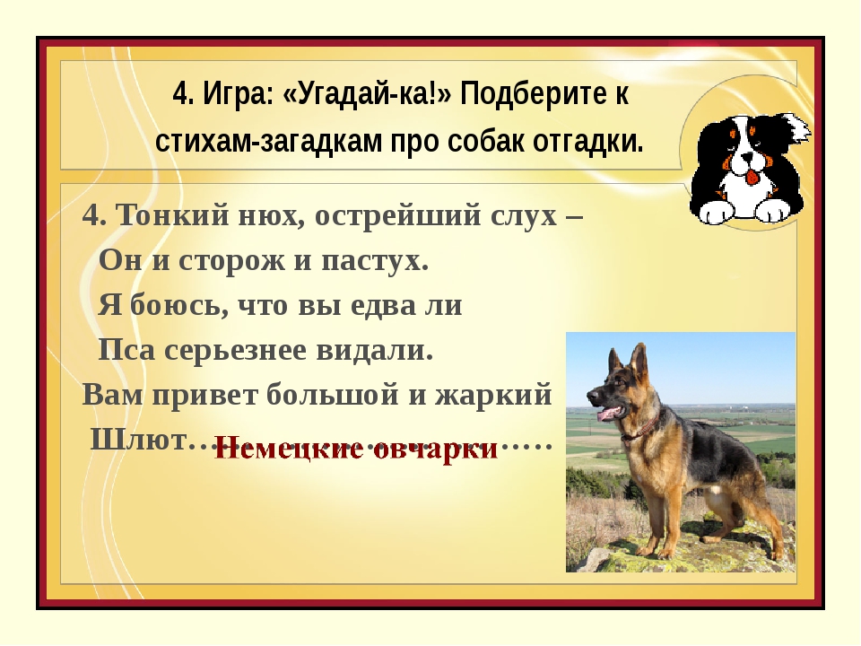 На десять братьев двух шуб хватит отгадка: Какой ответ загадки на десять братьев двух шуб хватит