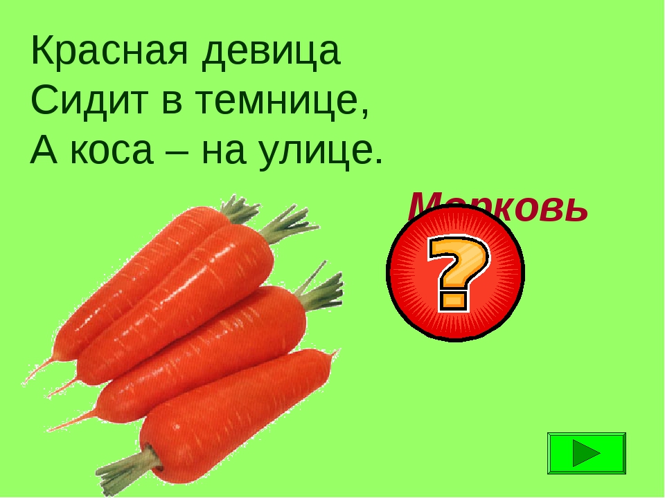 Девица в темнице а коса на улице: сидит девица в темнице,а коса на улице? — Обсуждай