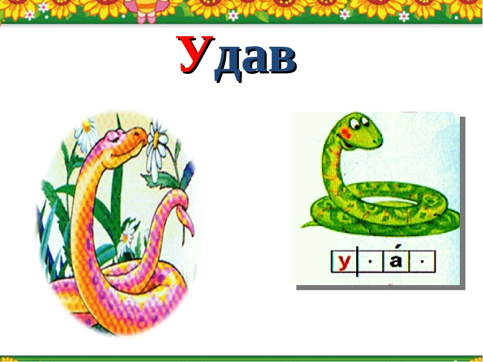 Загадка про удава для детей: Детям загадки про животных: Змея