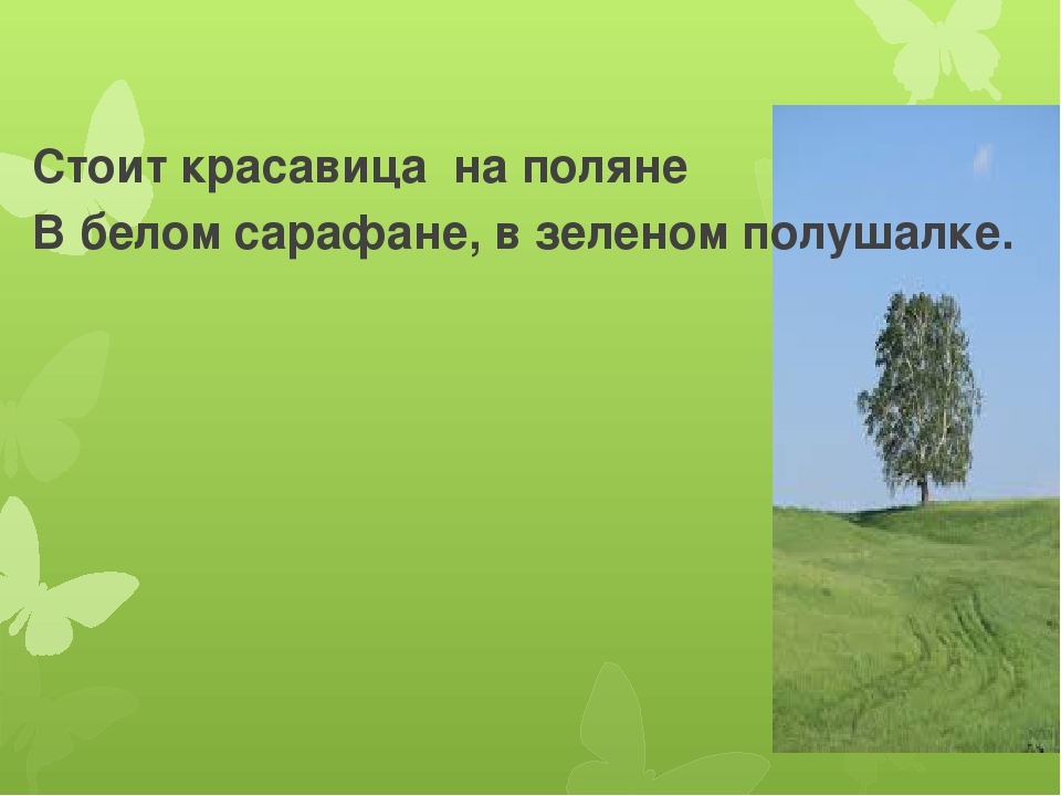 Загадка в белом сарафане встала на поляне ответ: Помогите пожалуйста отгадать загадку.
В белом сарафане
Встала на поляне.
Что это может быть?