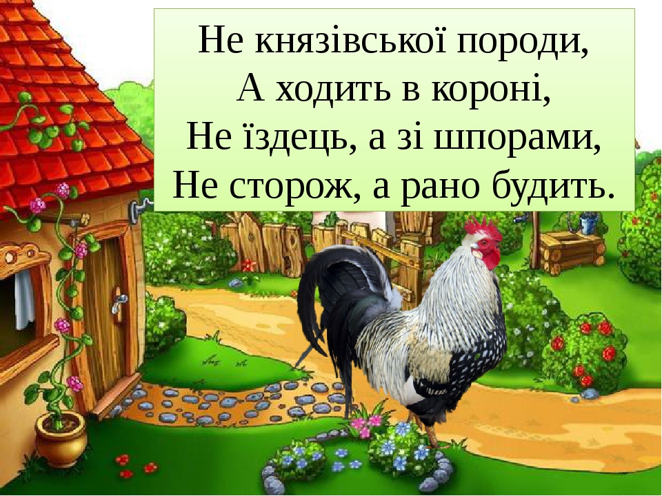 Не ездок а со шпорами не сторож а всех будет: «Не ездок, а со шпорами, не сторож, а всех будит» (загадка), 5 (пять) букв