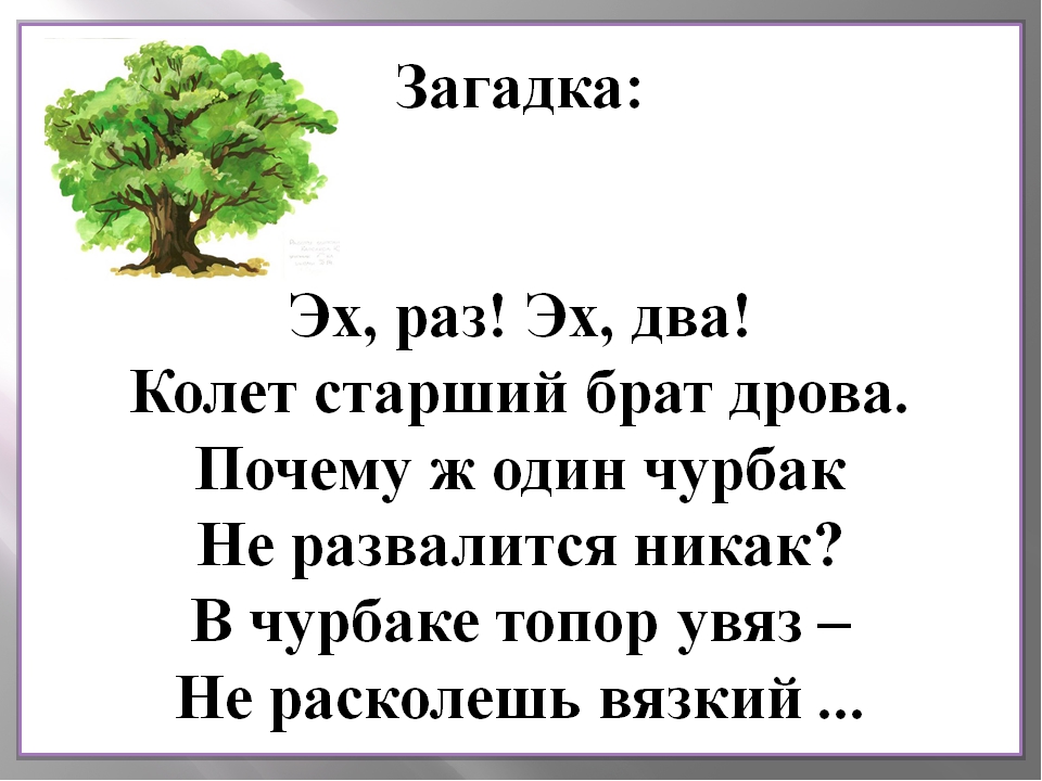 Детские стихи и загадки про дуб короткие: Детям загадки про дерево Дуб