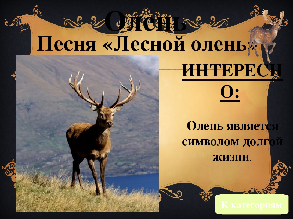 Лесной олень песня какого года: 8 фактов о песне «Лесной олень» — Интересные факты о песнях (блог)