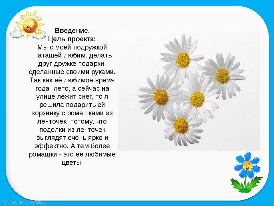 Ромашка загадка: Загадки про ромашку с ответами