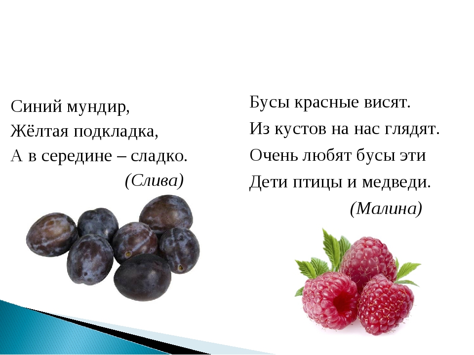 Синий мундир белая подкладка в середине сладко: Синий мундир белая подкладка в середине сладко. Загадка