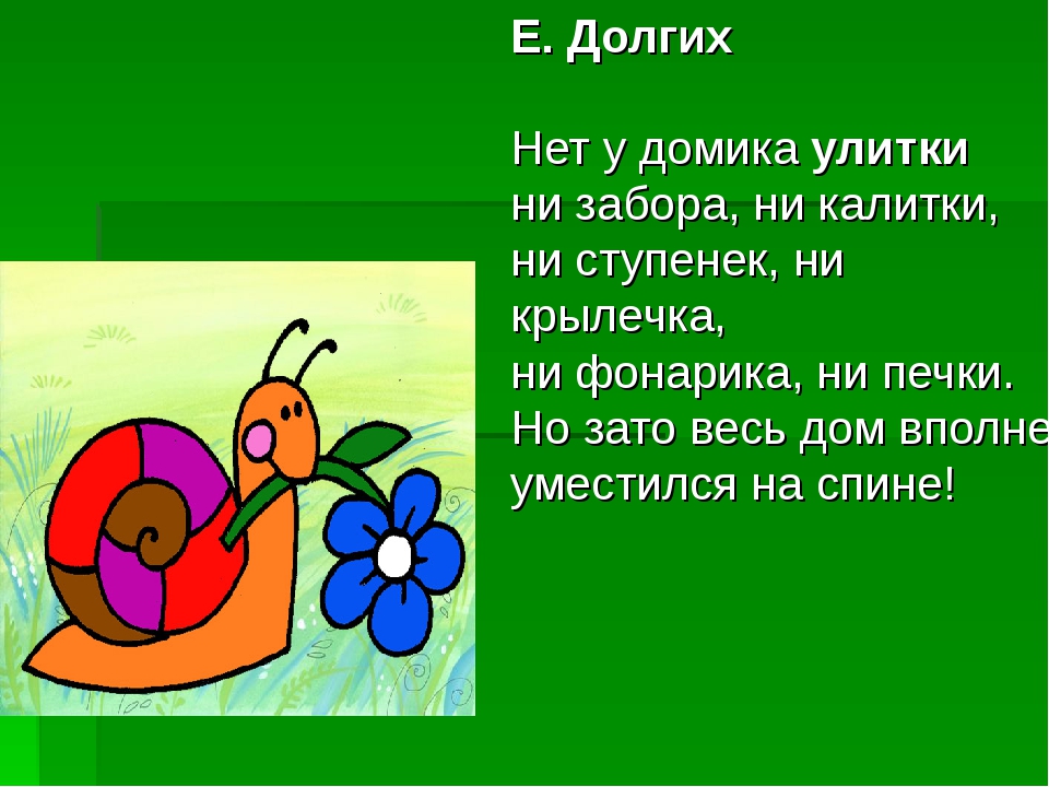 Загадка про улитку: Загадки про улитку | KidsClever.ru