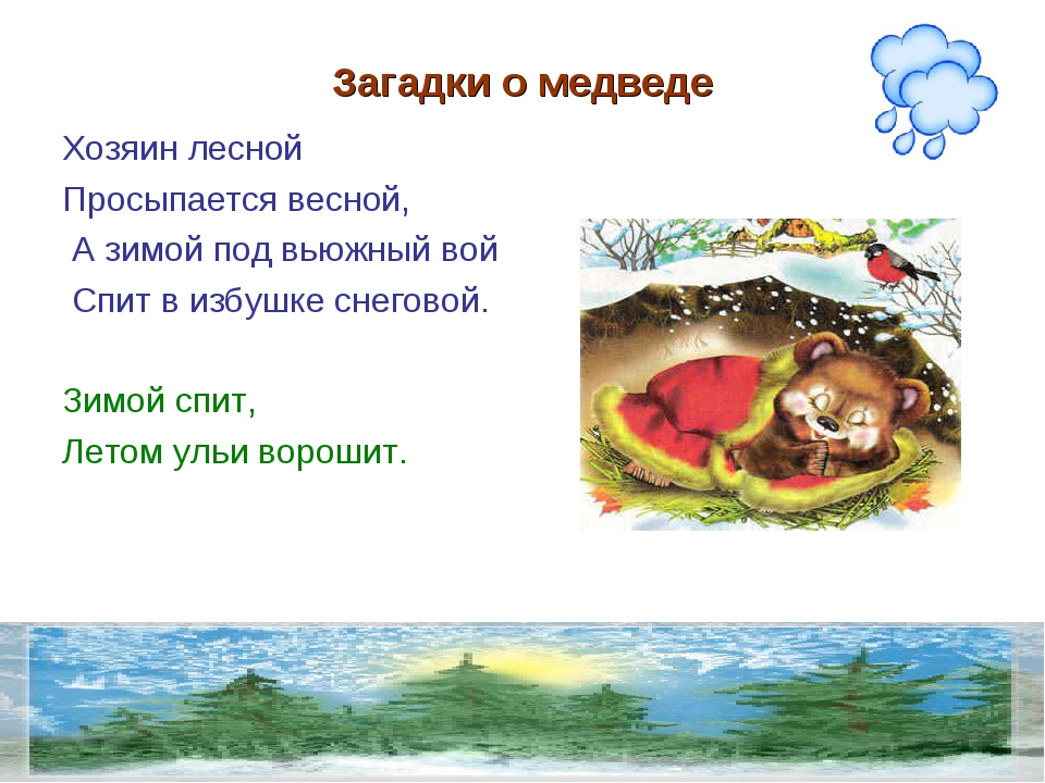 Загадки для детей про медведя: Загадки про медведей (для детей)