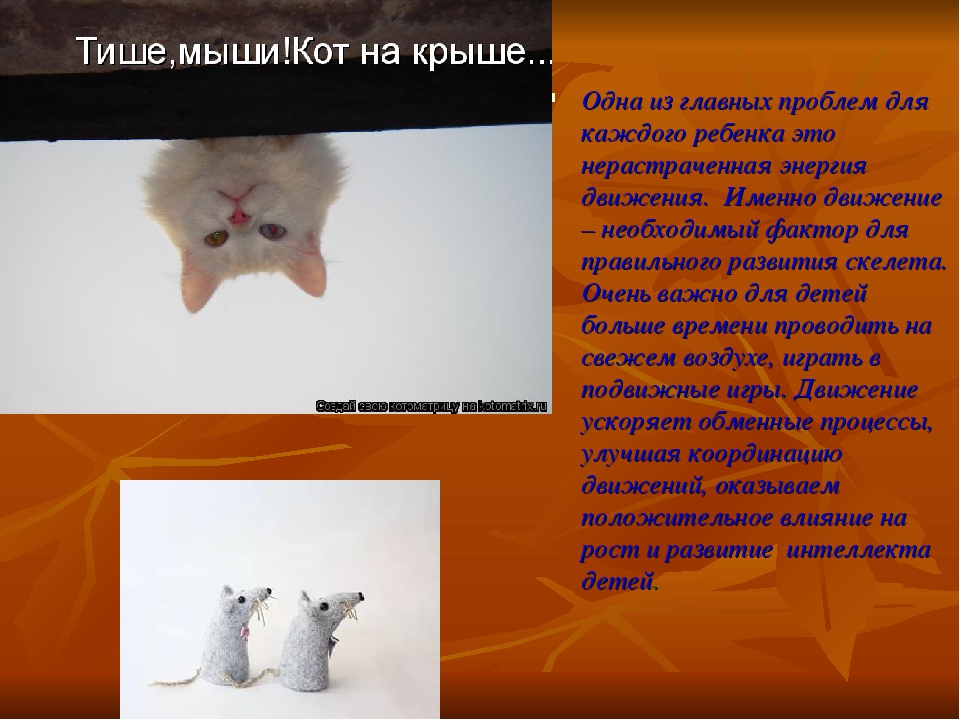 Тише мыши кот сидит на крыше песня: Краски - Тише, мыши - скачать песню бесплатно и слушать онлайн