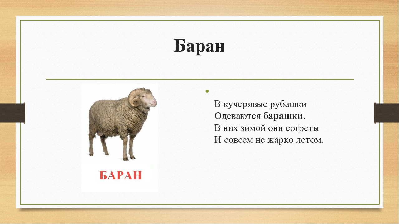 Загадка про барана: Загадки про барана для детей