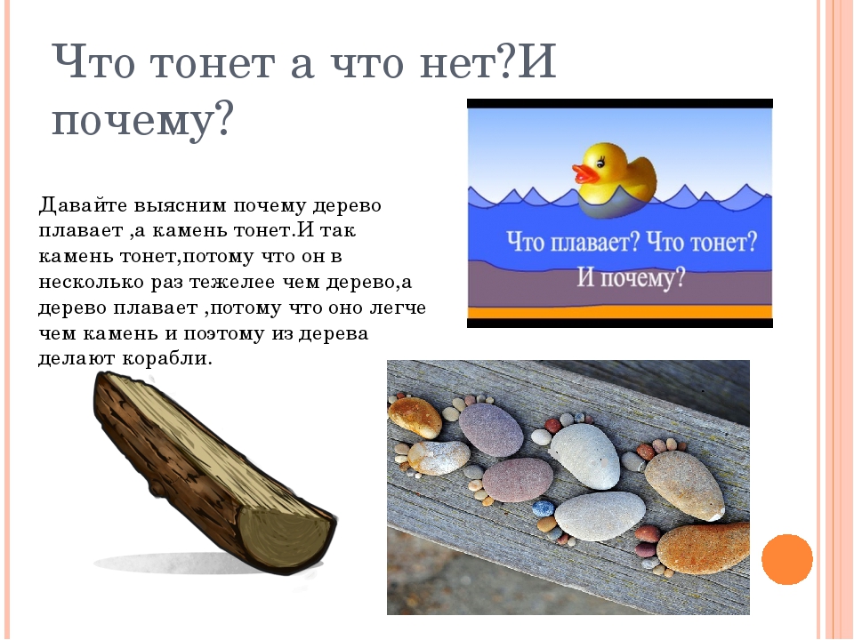 Какое дерево не горит не гниет не тонет: "Железное дерево" лиственница: и в воде тонет, и в огне не горит