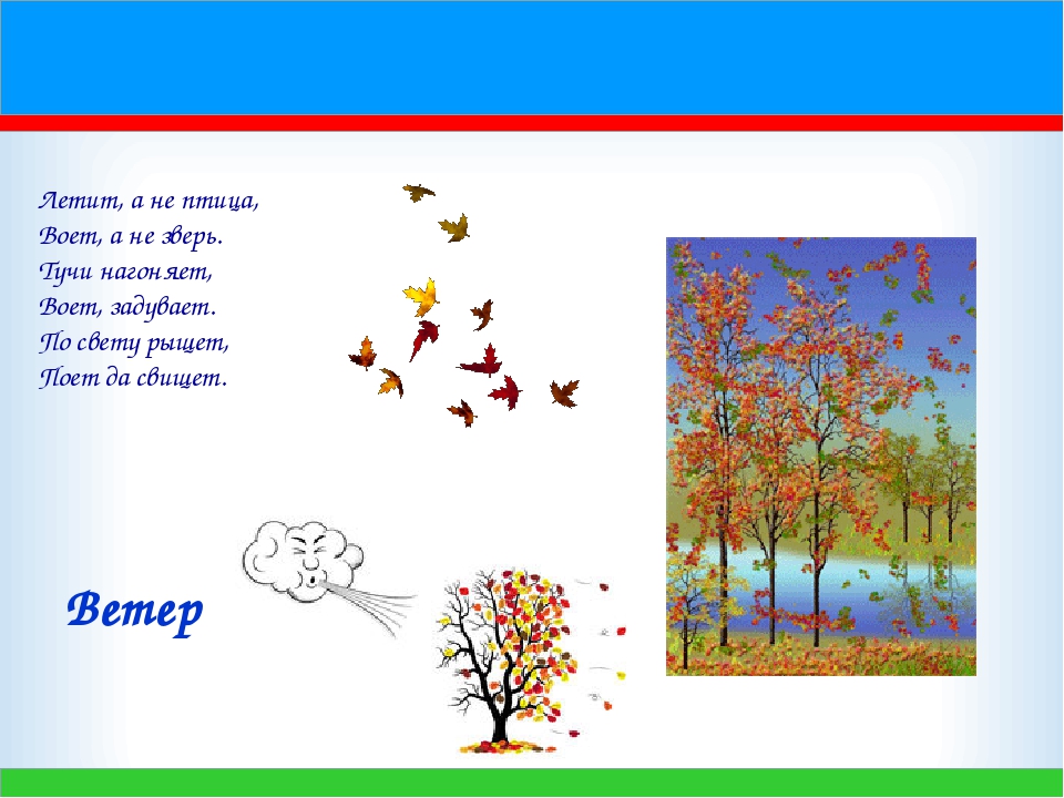 Загадки для детей про листья: Загадки с ответом «Листья» для детей