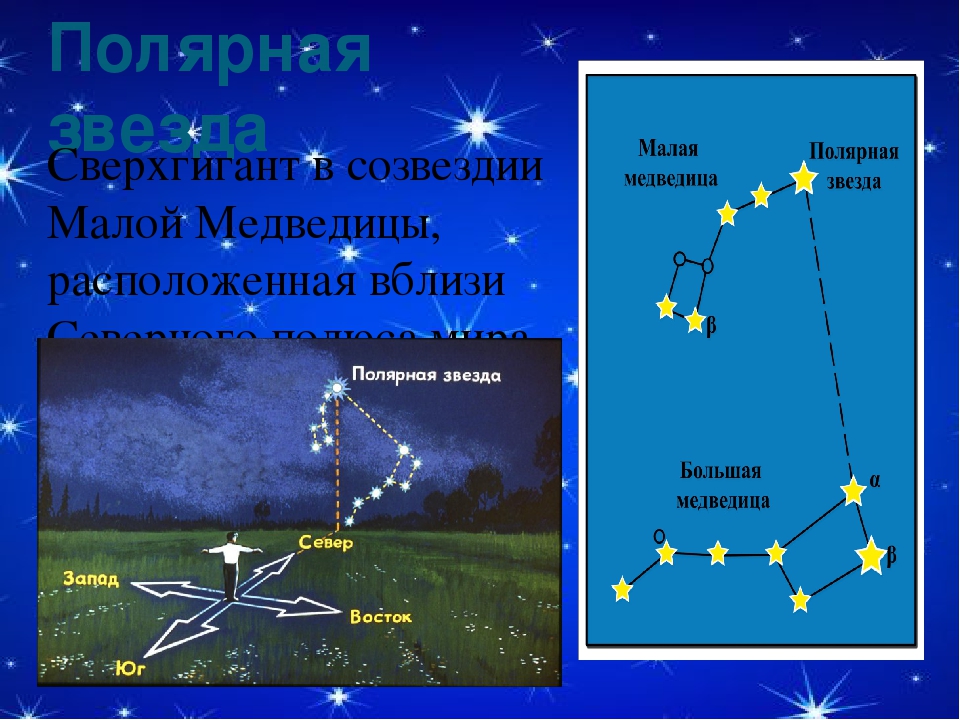 Полярный звезда 4. Полярная звезда Созвездие. Поляна звезда Созвездие. Полярная звезда в каком созвездии. Созвездие медведицы Полярная звезда.