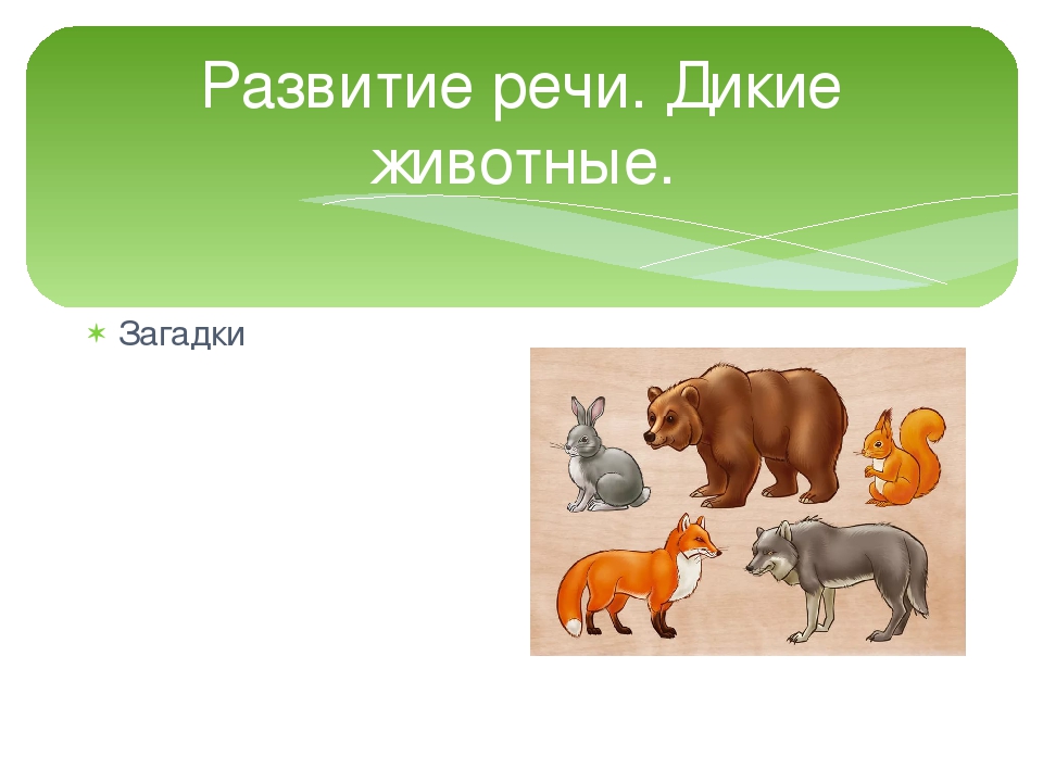 Загадки о домашних и диких животных с ответами: Загадки про домашних и диких животных для детей с ответами