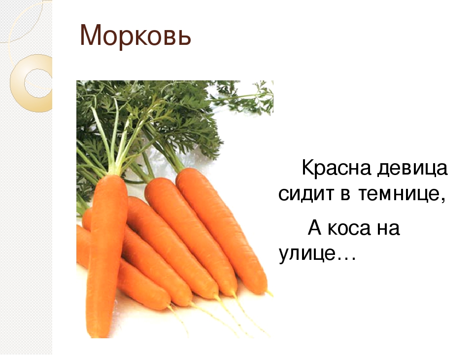 Девица в темнице а коса на улице: сидит девица в темнице,а коса на улице? — Обсуждай