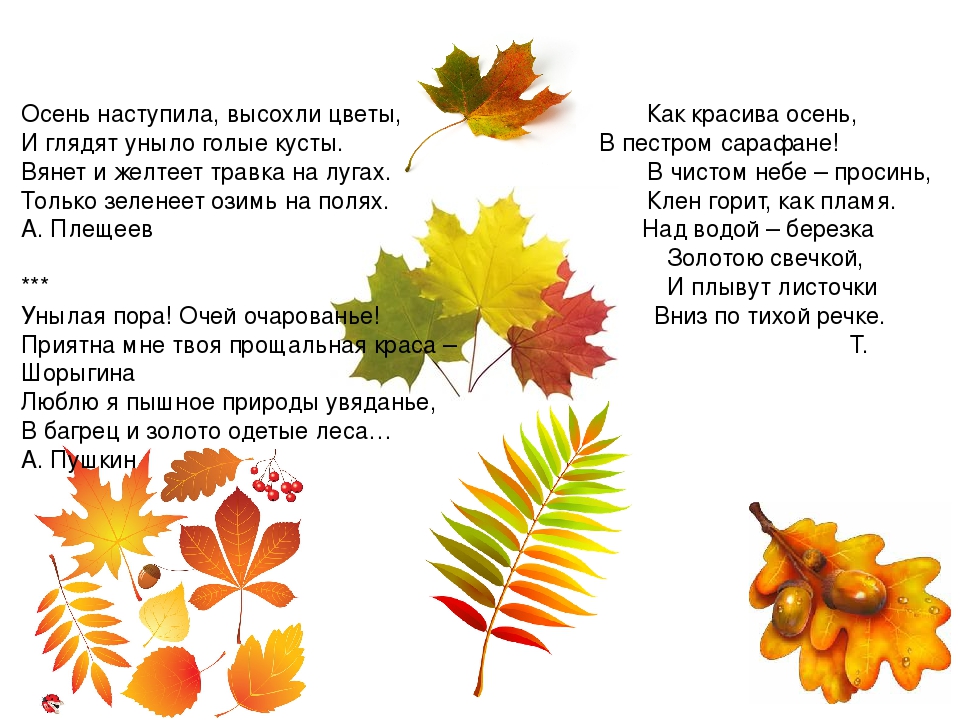 Стихи а плещеева осень наступила: Осень наступила, высохли цветы — Плещеев. Полный текст стихотворения — Осень наступила, высохли цветы