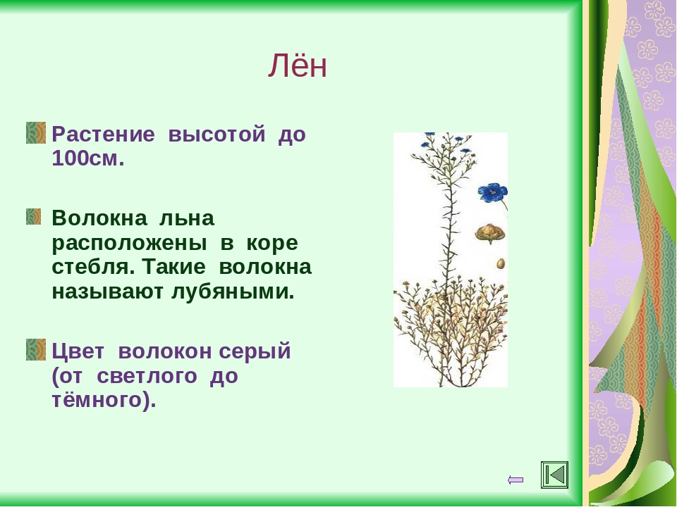 Загадки про хлопок: Загадки про хлопок — Стихи, картинки и любовь…