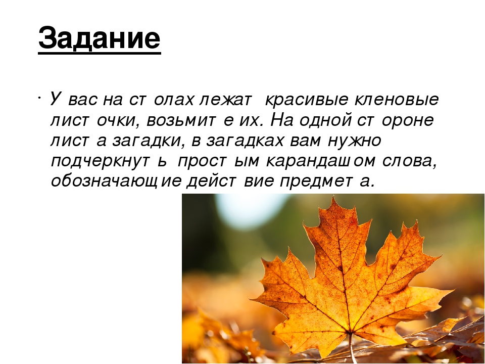 Загадки про лист кленовый: Листья клена пожелтели - загадки для детей -