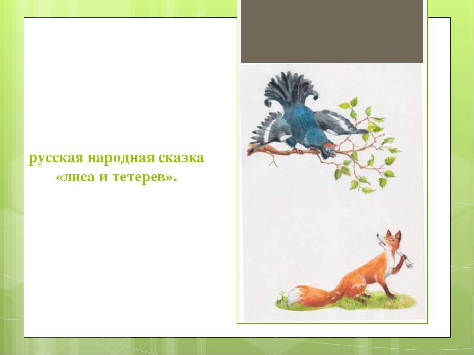 Картинка сказки лиса и тетерев: Лиса и тетерев русская народная сказка читать