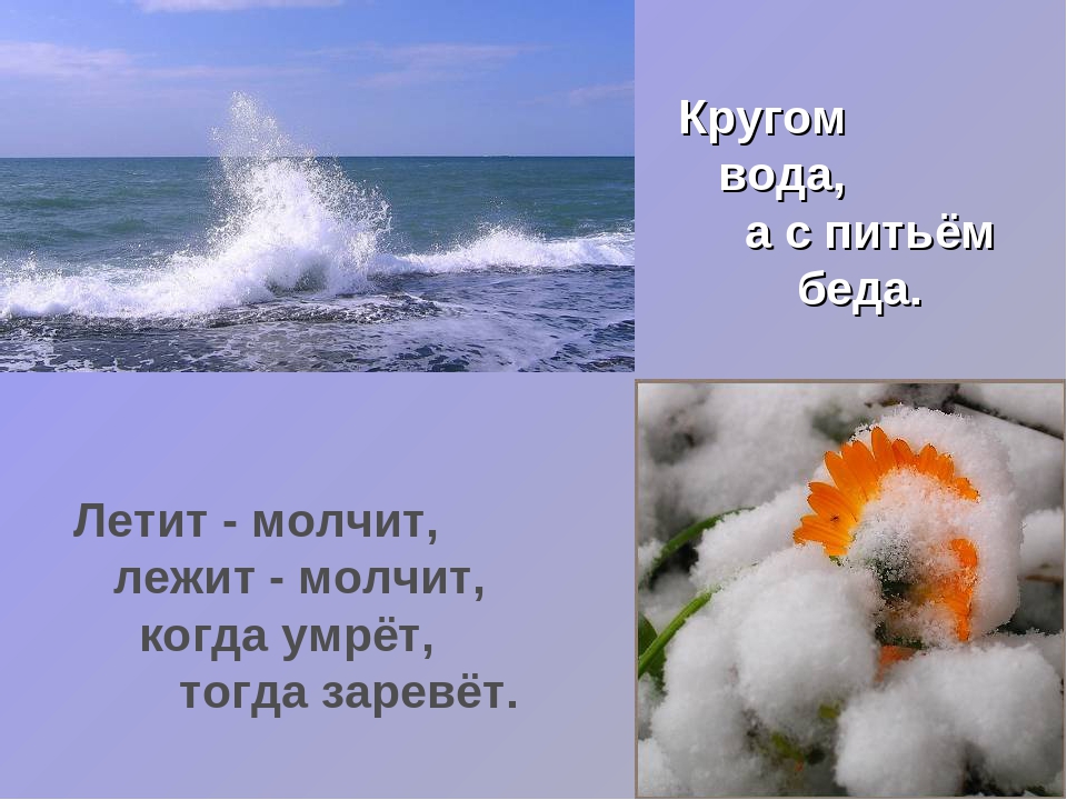 Что это кругом вода а с питьем беда: Отгадайте загадку кругом вода, а с питьем беда ? Срочно ;​