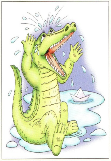 Почему крокодил плачет: домашние животные, выбор, уход и воспитание, каталог компаний, эксперты.