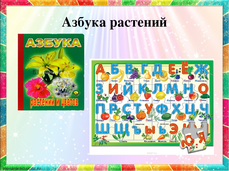 Загадки о растениях на все буквы алфавита: Детские загадки на все буквы алфавита