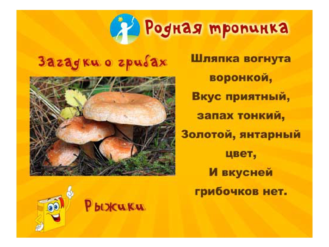 Загадки для детей о грибах с ответами: Загадки про грибы для детей