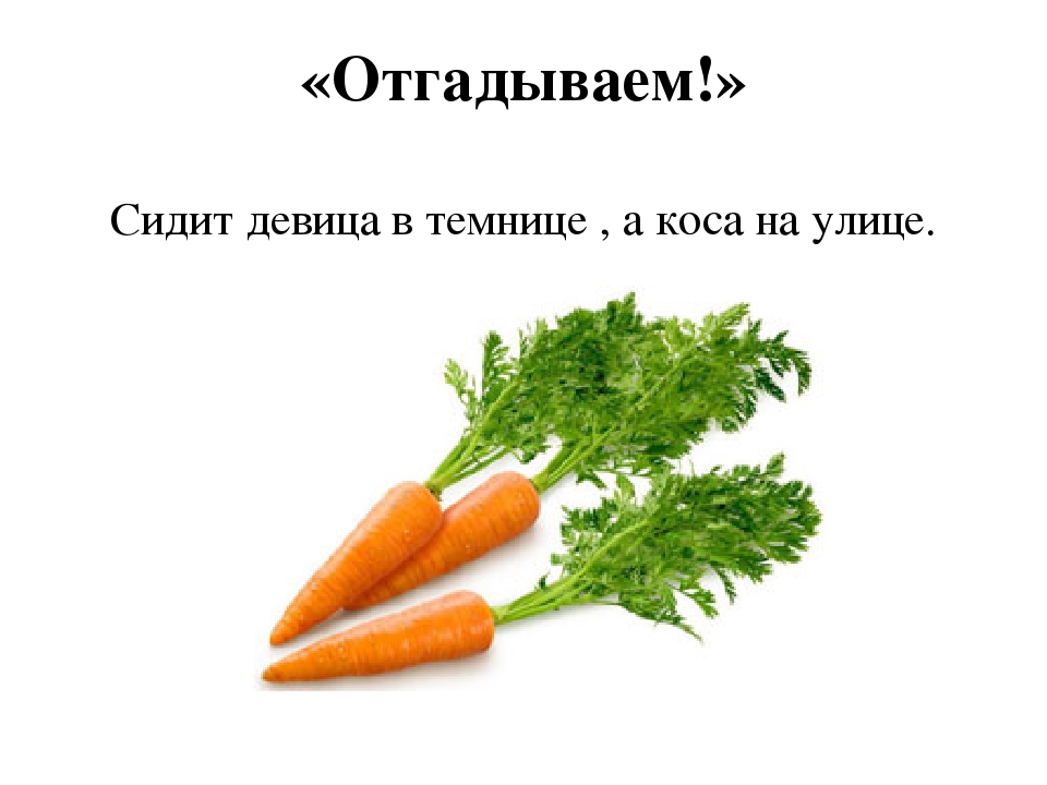 Девица в темнице а коса на улице: сидит девица в темнице,а коса на улице? — Обсуждай