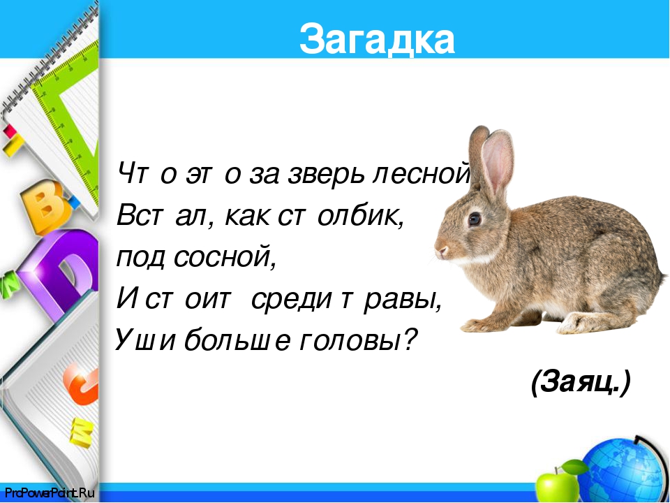 Загадки про животных с ответами сложные очень: Загадки про животных с ответами