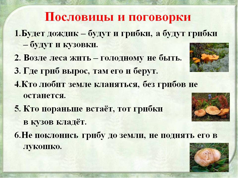 Загадка про грибы и ягоды: Загадки про ягоды и грибы часть 2