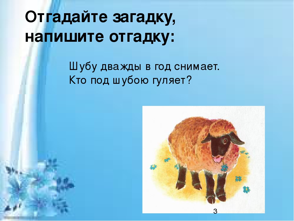 На десять братьев двух шуб хватит отгадка: Какой ответ загадки на десять братьев двух шуб хватит