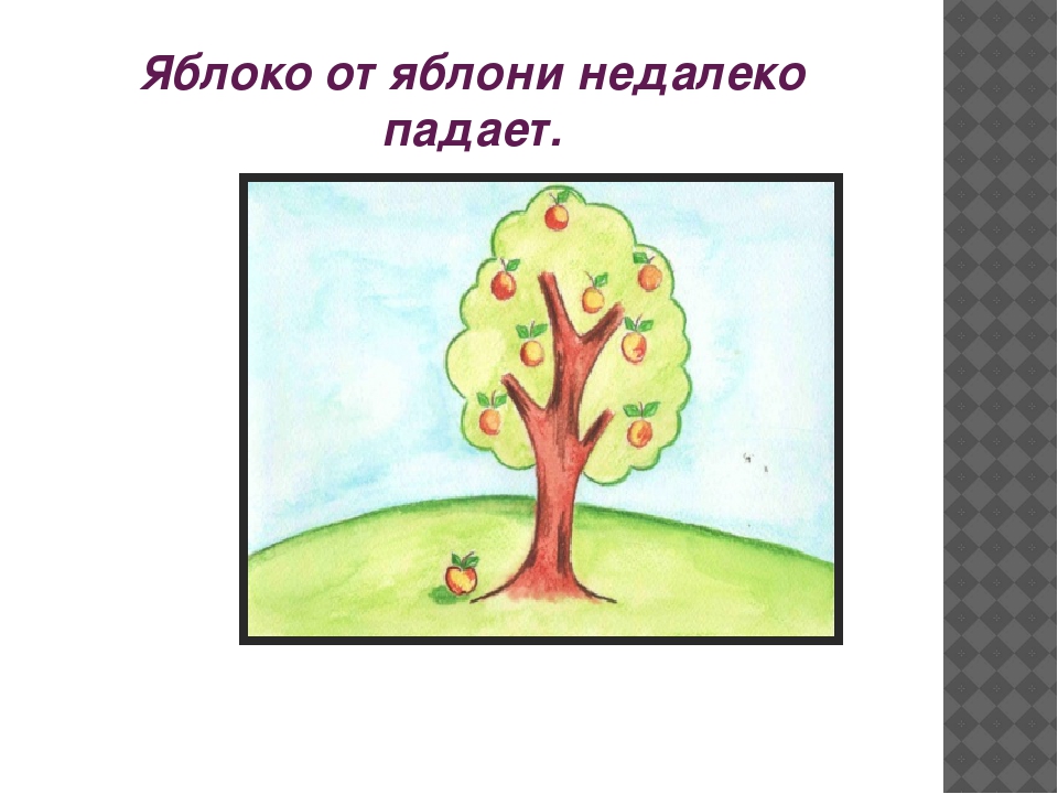 Яблоко от яблони пословицы: Яблоко от яблони недалеко падает: Смысл пословицы, значение