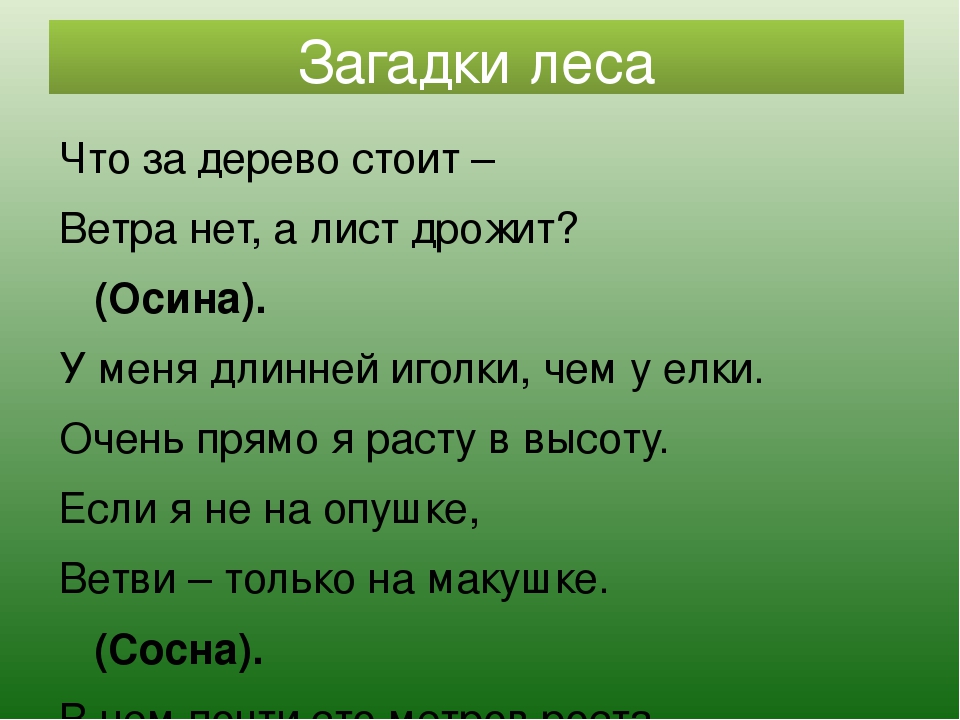 Что за дерево стоит ветра нет оно дрожит загадка ответ: Отгадать загадку. Что за дерево стоит?ветра нет а лист дрожит.