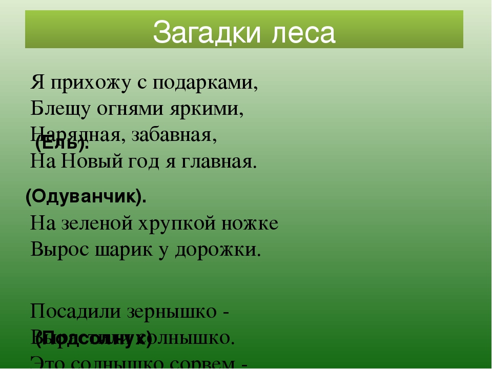 Загадка ответ лес: Загадки с ответом лес