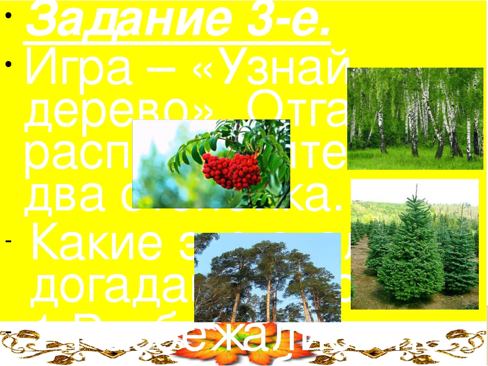 Загадка весной веселит летом холодит осенью питает зимой согревает отгадка: Загадка:Весной веселит,летом холодит,осенью питает,зимой согревает.