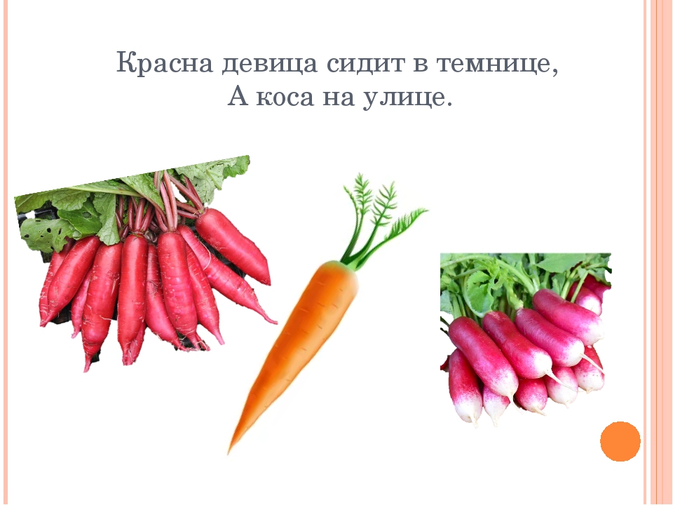 Девица в темнице а коса на улице: сидит девица в темнице,а коса на улице? — Обсуждай