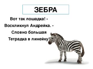 ЗЕБРА Вот так лошадка! - Воскликнул Андрейка. - Словно большая Тетрадка в лин