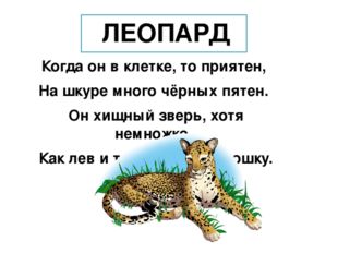 ЛЕОПАРД Когда он в клетке, то приятен, На шкуре много чёрных пятен. Он хищный