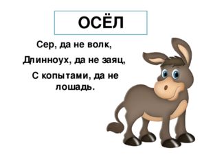 ОСЁЛ Сер, да не волк, Длинноух, да не заяц, С копытами, да не лошадь. 