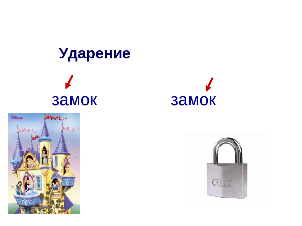 Омографы презентация 1 класс