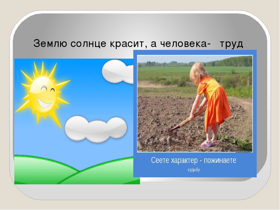 Пословица землю красит а человек: Пословица «Землю красит солнце, а человека труд»: значение, смысл