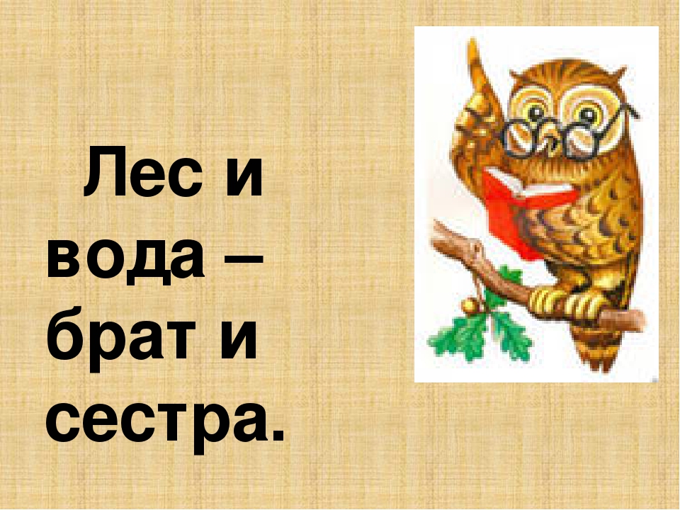 Два братца в воду глядятся век не сойдутся ответ загадка: WS - Загадка: Два братца в воду глядятся, век не сойдутся - разгадка